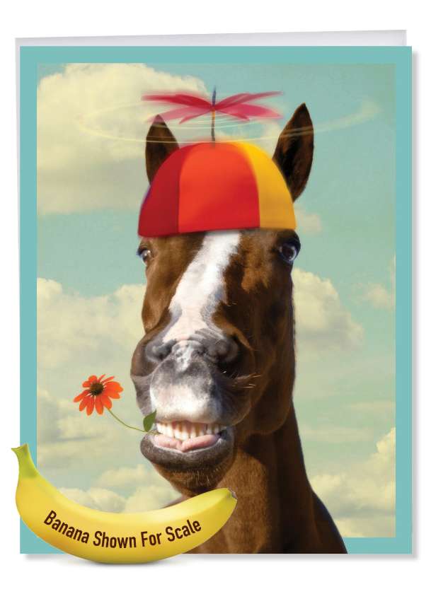Humorous Birthday Jumbo Paper Card By Michael Quackenbush From NobleWorksCards.com - Horse Around