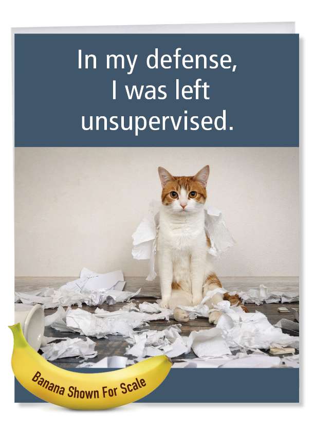 Hysterical Birthday Jumbo Greeting Card By Ephemera From NobleWorksCards.com - Unsupervised Cat