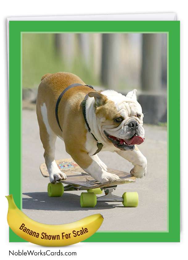 Beautiful Birthday Jumbo Printed Card By From NobleWorksCards.com - Skating Bulldogs - Green Wheels