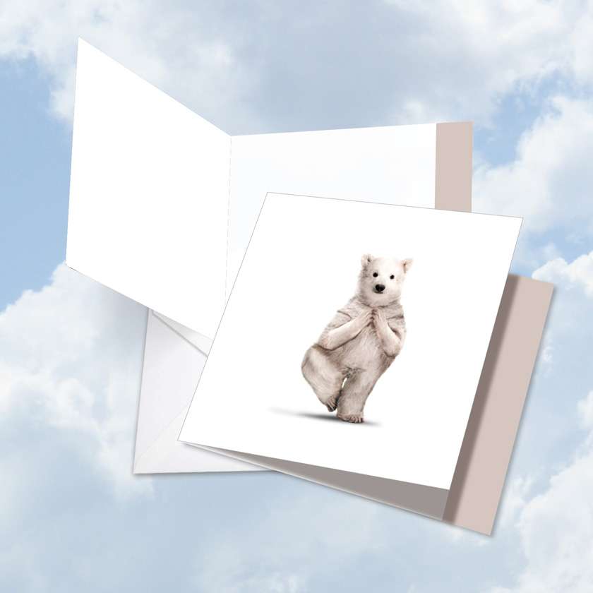 Creative Thank You Greeting Card By Willow Creek Press From NobleWorksCards.com - Zoo Yoga