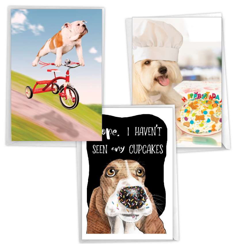 Funny Birthday Paper Greeting Card By Assorted Artists From NobleWorksCards.com - Party Pups