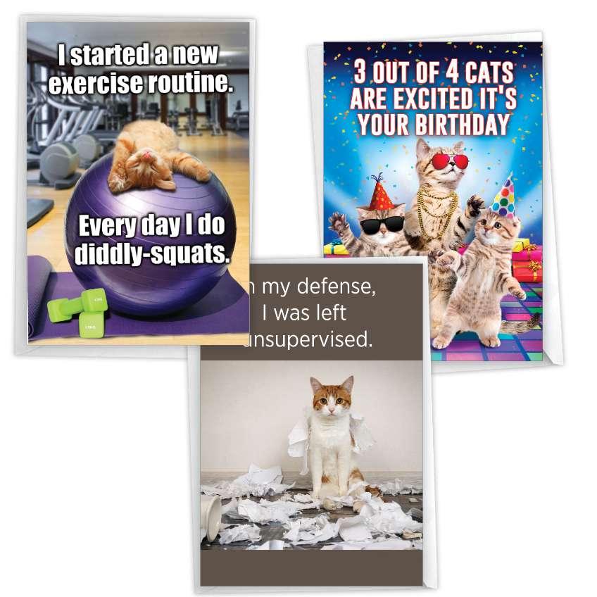 Hilarious Birthday Printed Card By Assorted Artists From NobleWorksCards.com - Funny Felines